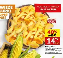 Twój Market Kurka świeża polska oferta