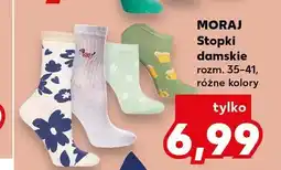 Kaufland Stopki damskie Moraj oferta