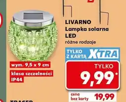 Kaufland Lampka solarna LED Livarno oferta