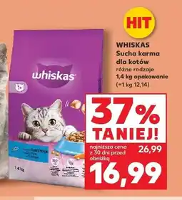 Kaufland Sucha karma dla kotów Whiskas oferta