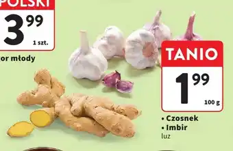 Intermarche Czosnek luz oferta