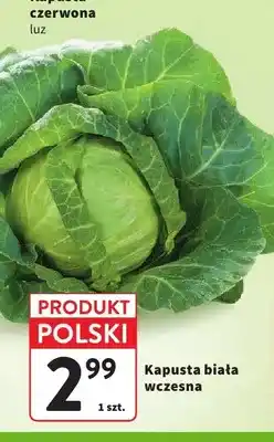 Intermarche Kapusta biała wczesna polska oferta