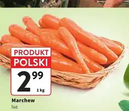 Intermarche Marchew luz polska oferta
