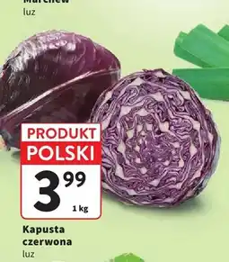Intermarche Kapusta czerwona luz polska oferta
