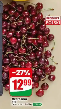 Dino Czereśnia oferta