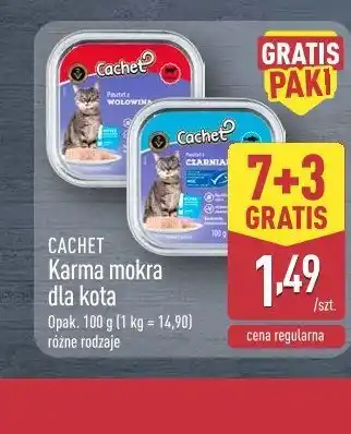 ALDI Cachet Karma mokra dla kota oferta