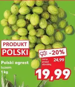 Kaufland Polski agrest luzem oferta