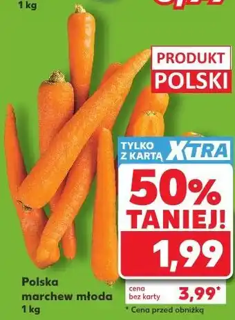 Kaufland Polska marchew młoda oferta