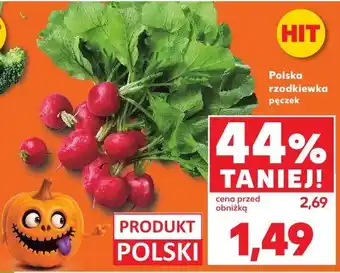 Kaufland Polska rzodkiewka pęczek oferta