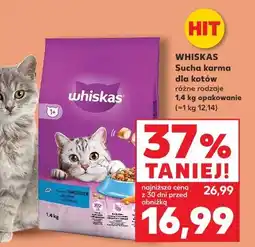 Kaufland Whiskas Sucha karma dla kotów oferta