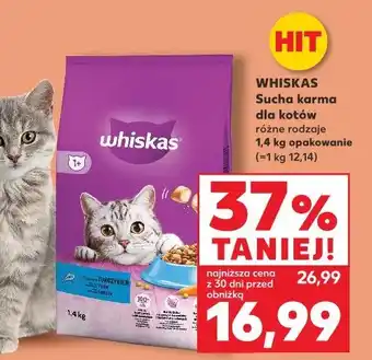 Kaufland Whiskas Sucha karma dla kotów oferta