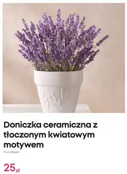 Pepco Doniczka ceramiczna z tłoczonym kwiatowym motywem Pepco oferta