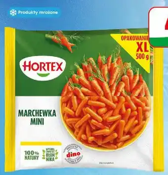Dino Marchewka mini Hortex oferta