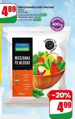 Dino Mieszanka po włosku Mroźny Ogród oferta