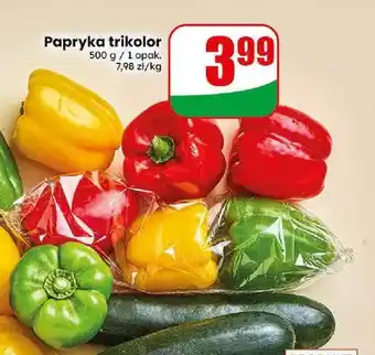 Dino Papryka trikolor oferta