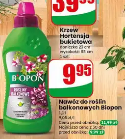 Dino Nawóz do roślin balkonowych Biopon oferta