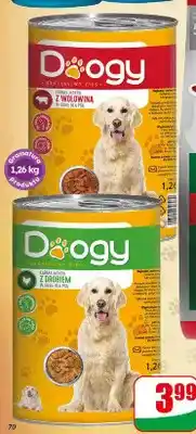 Dino Mokra karma dla psa Doogy z wołowiną oferta
