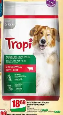 Dino Sucha karma dla psa z wołowiną Tropi oferta