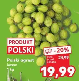 Kaufland Polski agrest, luzem 1 kg oferta