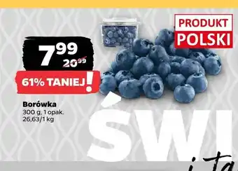 Netto Borówka oferta