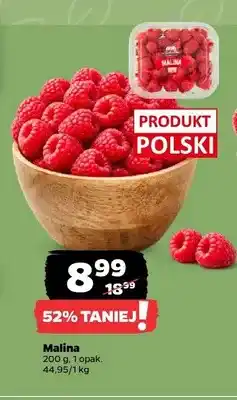 Netto Malina polska oferta