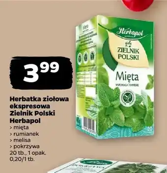 Netto Herbatka ziołowa ekspresowa Zielnik Polski rumianek Herbapol oferta