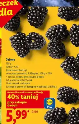 Lidl Jeżyny oferta