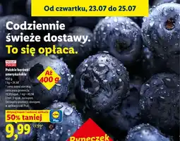 Lidl Polskie borówki amerykańskie oferta