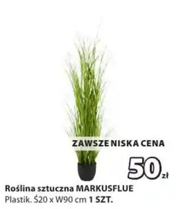 JYSK Roślina sztuczna Markusflue oferta