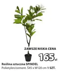 JYSK Roślina sztuczna SPINDEL oferta