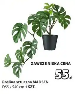 JYSK Roślina sztuczna MADSEN oferta
