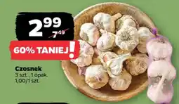 Netto Czosnek oferta