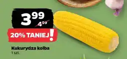 Netto Kukurydza kolba oferta