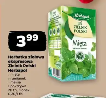 Netto Herbatka ziołowa ekspresowa Zielnik Polski Herbapol oferta