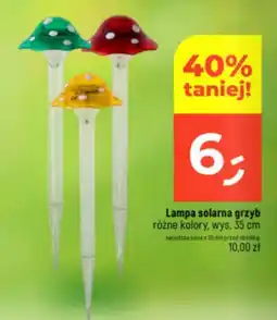 Dealz Lampa solarna grzyb oferta