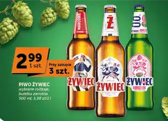 Groszek Piwo Żywiec oferta