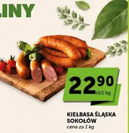 Groszek Kiełbasa Śląska Sokolów oferta
