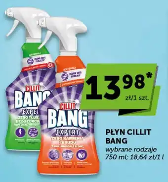 Groszek Płyn Cillit Bang oferta