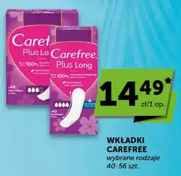 Groszek WKŁADKI CAREFREE oferta