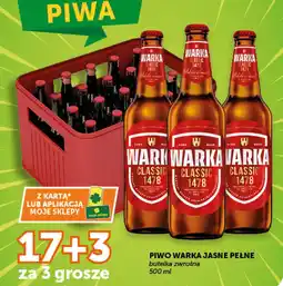 Groszek Piwo Warka Jasne Pełne oferta