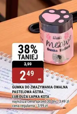 bi1 Gumka do zmazywania owalna duza lapka kota oferta