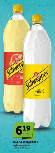 Groszek Napój Schweppes oferta