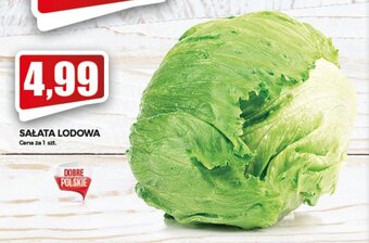 Topaz Sałata lodowa 1szt. oferta