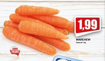 Topaz Marchew 1kg oferta