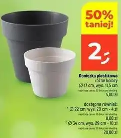 Dealz Doniczka plastikowa różne kolory oferta