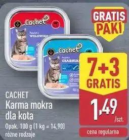 ALDI Cachet Karma mokra dla kota oferta