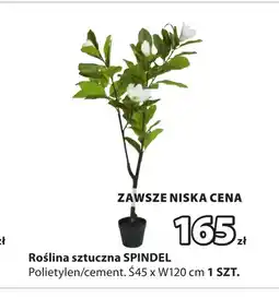 JYSK Sztuczna roślina oferta
