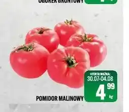 TomiMarkt Pomidor malinowy oferta
