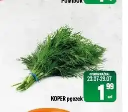 TomiMarkt Koper pęczek oferta