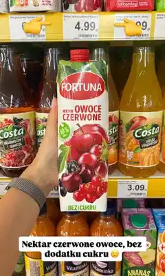 Dino Nektar Fortuna owoce czerwone bez dodatku cukru oferta